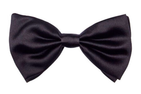 Papillon raso